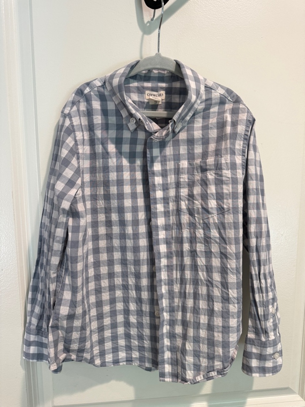 Crewcuts Boy's Blue and White Gingham Button-Down Shirt